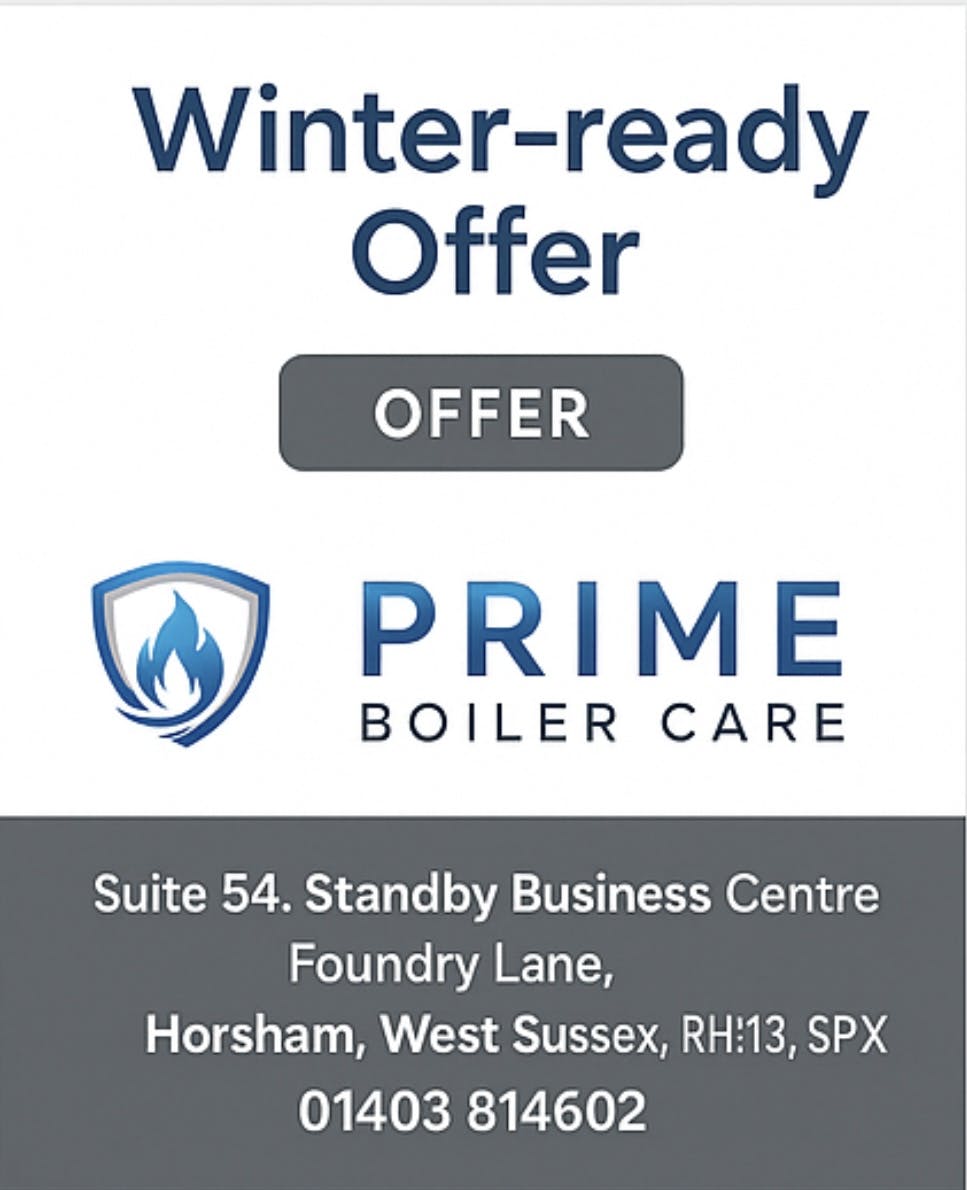 £80 Gas Boiler Full Strip Clean Service Horsham, Crawley & Brighton.